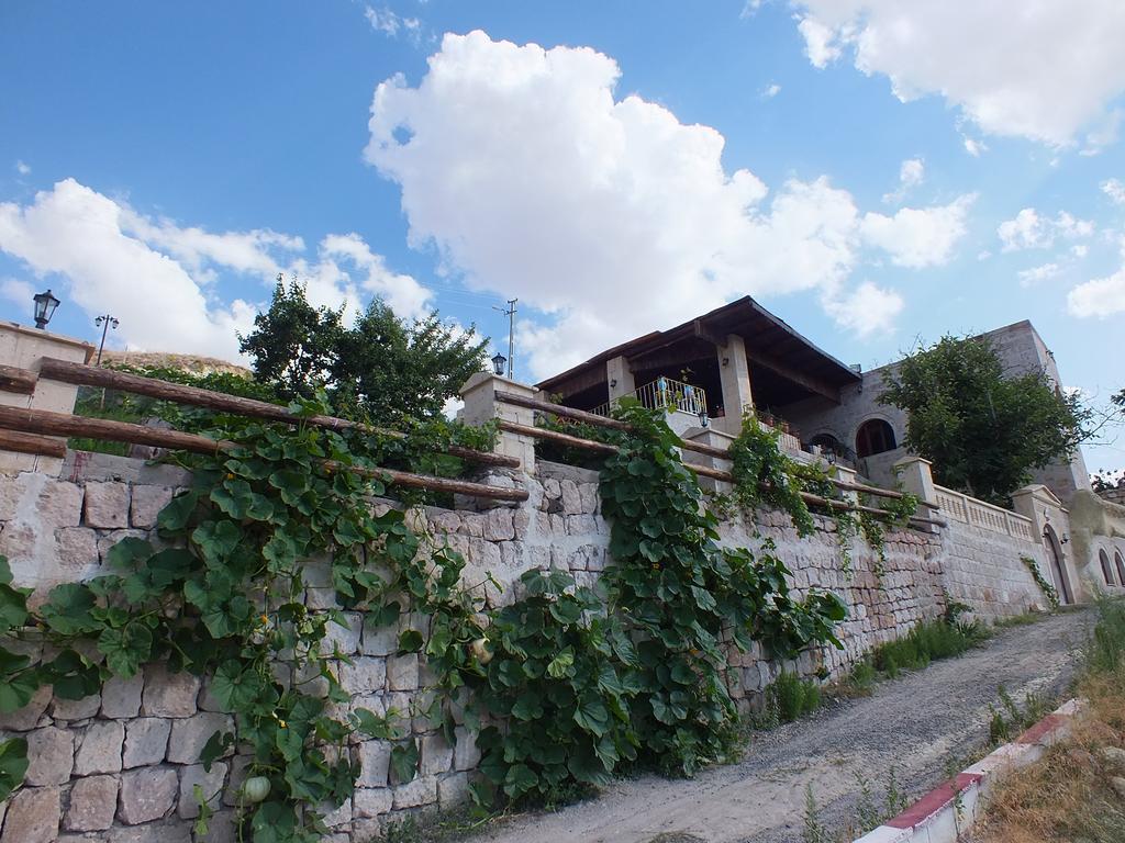Dilek Tepesi Cave Hotel أيواليه المظهر الخارجي الصورة