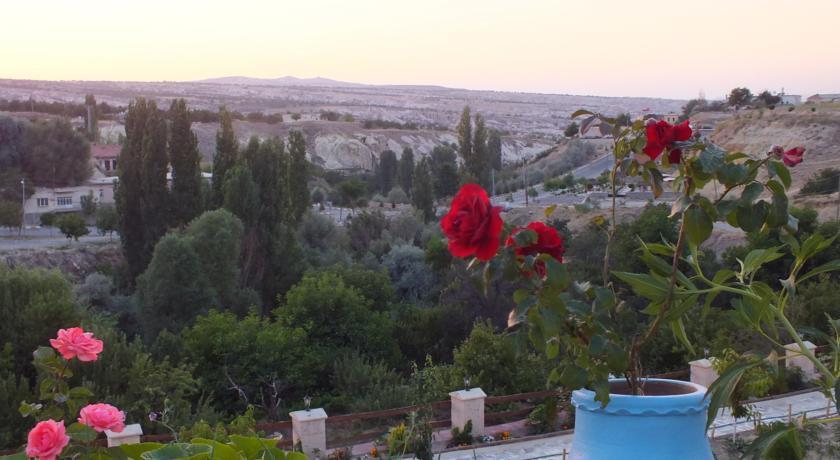 Dilek Tepesi Cave Hotel أيواليه المظهر الخارجي الصورة